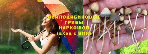 трава Абинск