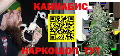 МДПВ Партизанск