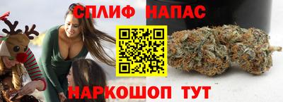 МДПВ Партизанск